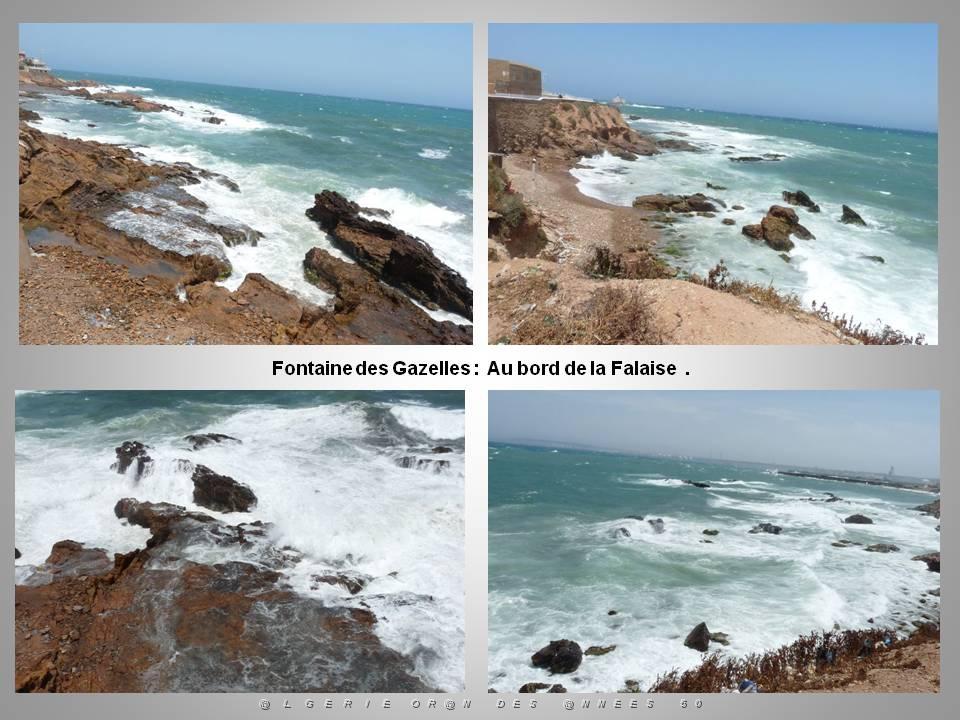 2eme Partie Oranie  Arzew-Fontaine des Gazelles (39).JPG